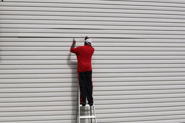 Affordable Siding Repair and Maintenance Services in Strum, WI